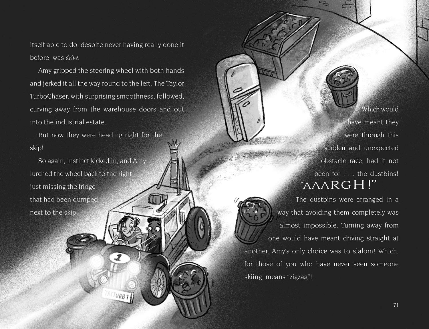 The Taylor TurboChaser - Image 4
