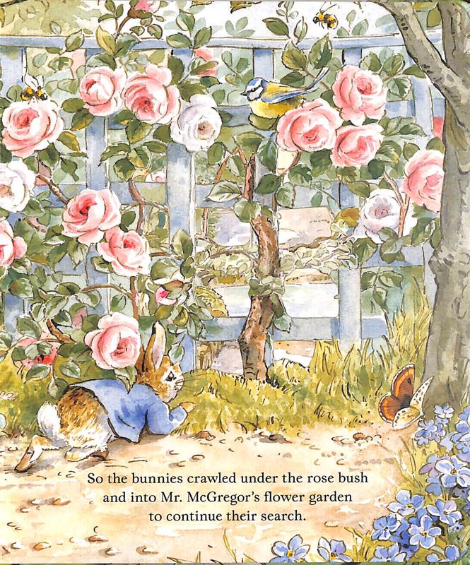 Peter Rabbit: The Lost Hat A Peep-Inside Tale - Image 4