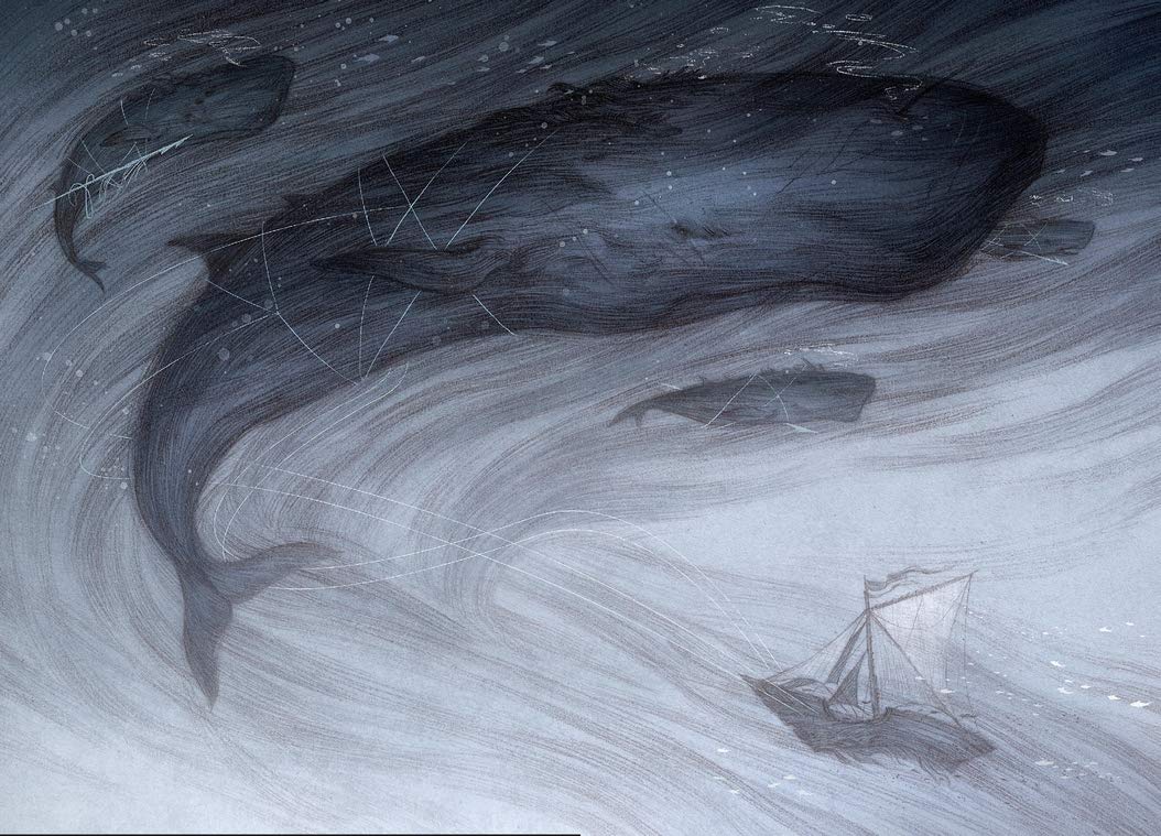 And the Ocean Was Our Sky - Image 2