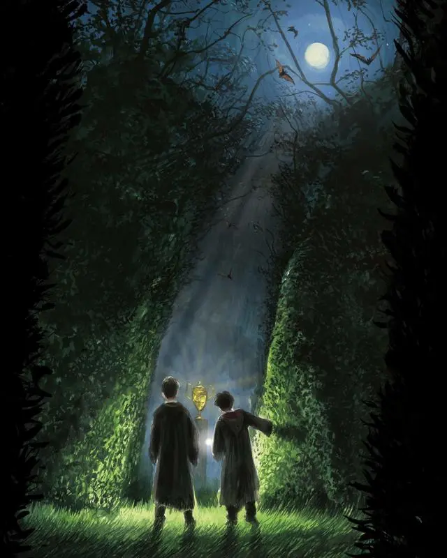Harry Potter and the Goblet of Fire : Illustrated Edition - Image 3