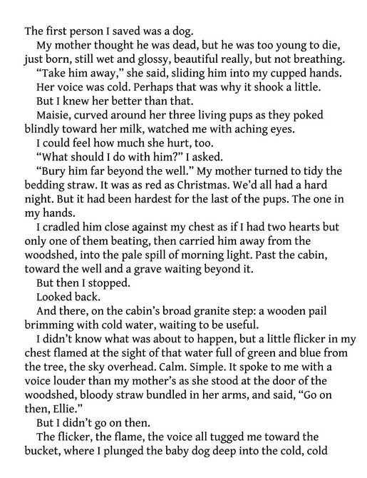 Echo Mountain (paperback) - Image 2