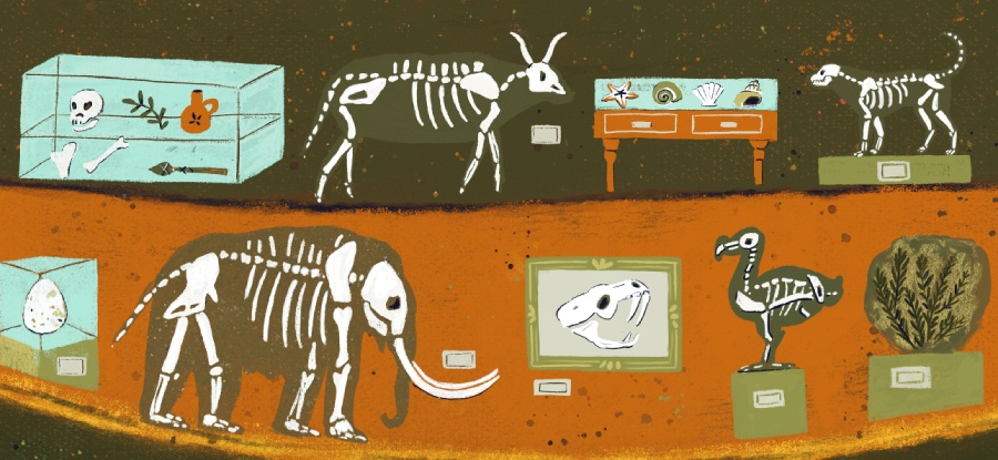 On The Origin of Species - Image 6