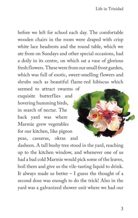 Coming To England - Image 4