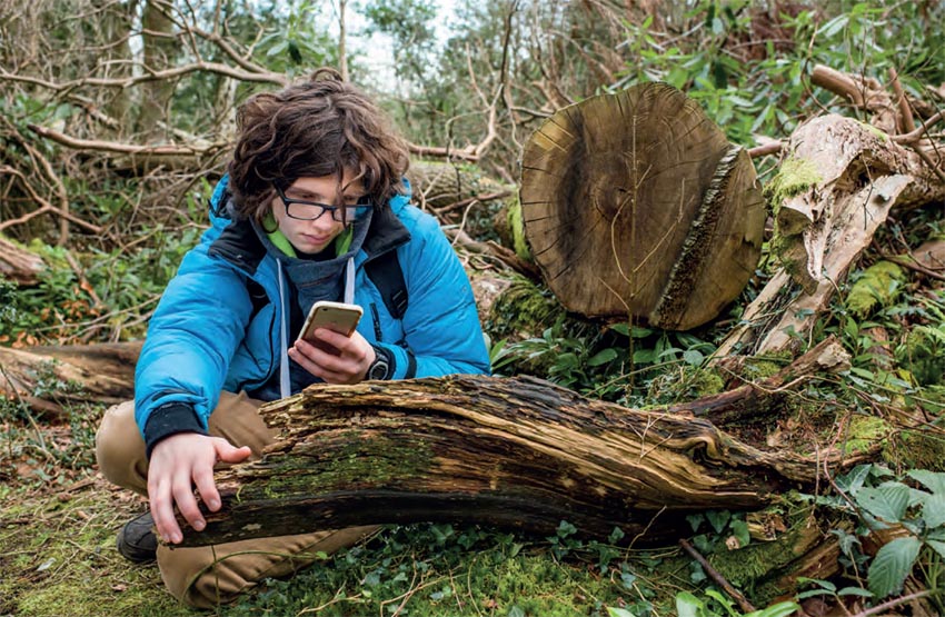 Diary of a Young Naturalist - Image 3