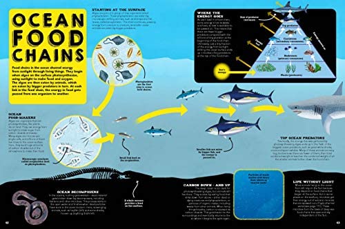 The Ocean Book : Explore the Hidden Depth of Our Blue Planet - Image 4