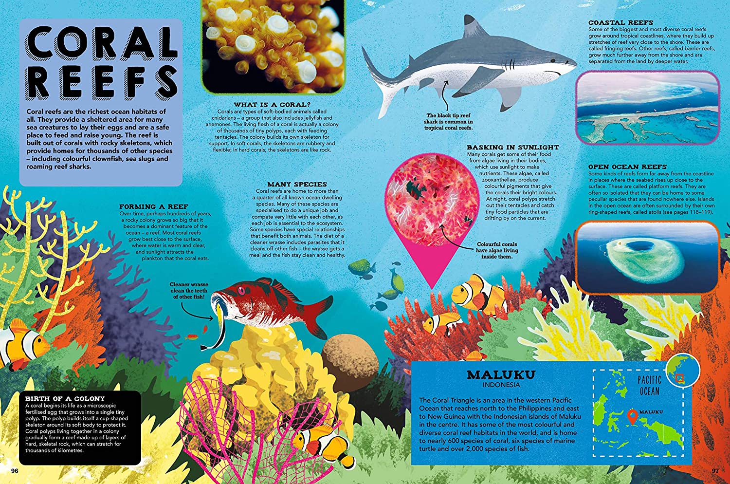The Ocean Book : Explore the Hidden Depth of Our Blue Planet - Image 2