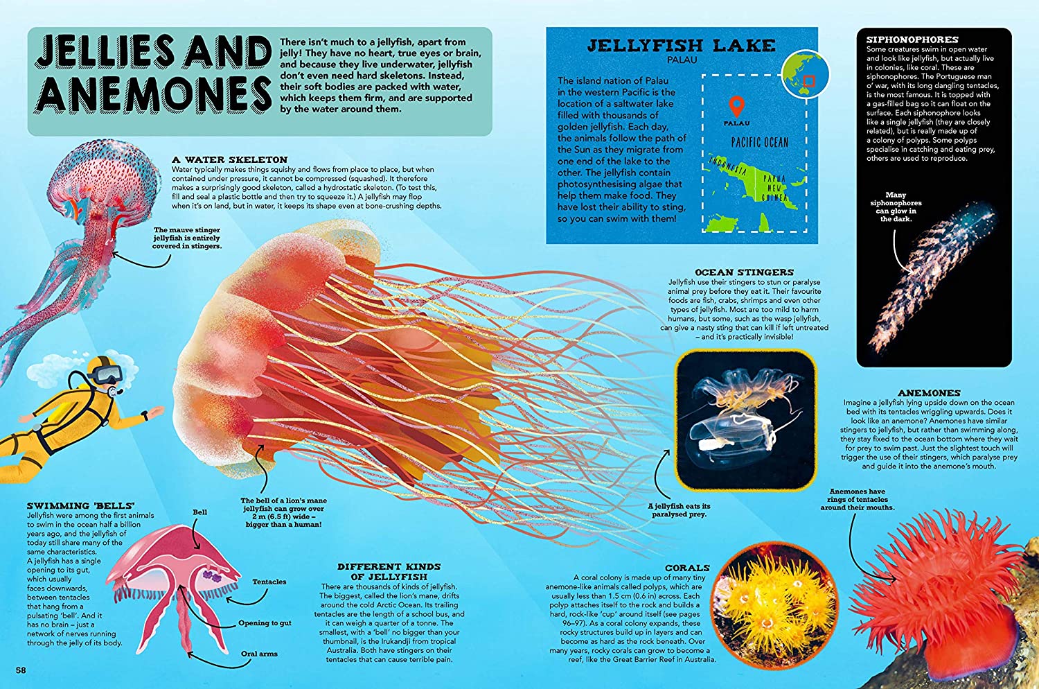 The Ocean Book : Explore the Hidden Depth of Our Blue Planet - Image 6
