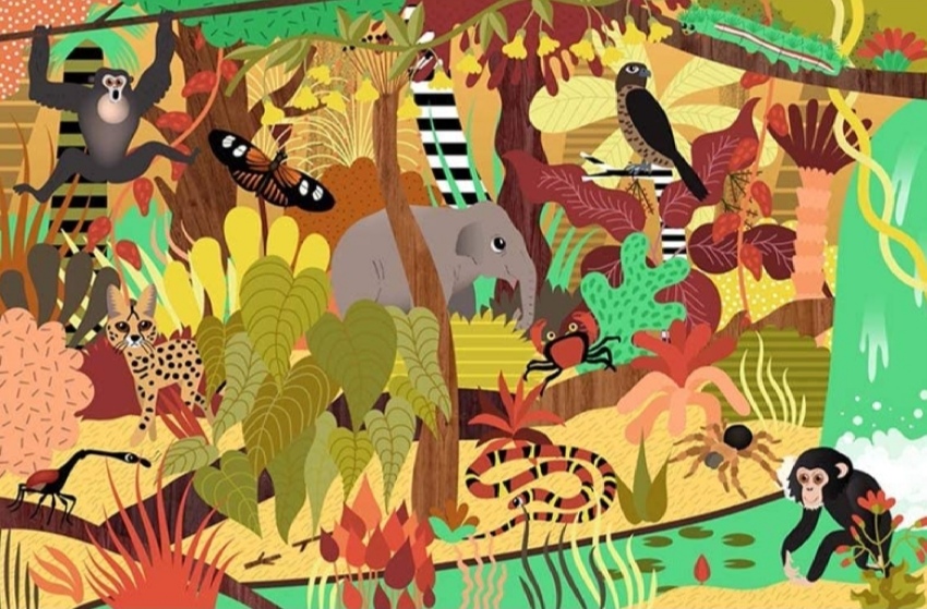 Who's Hiding in the Jungle? : A Spot and Match Game - Image 4