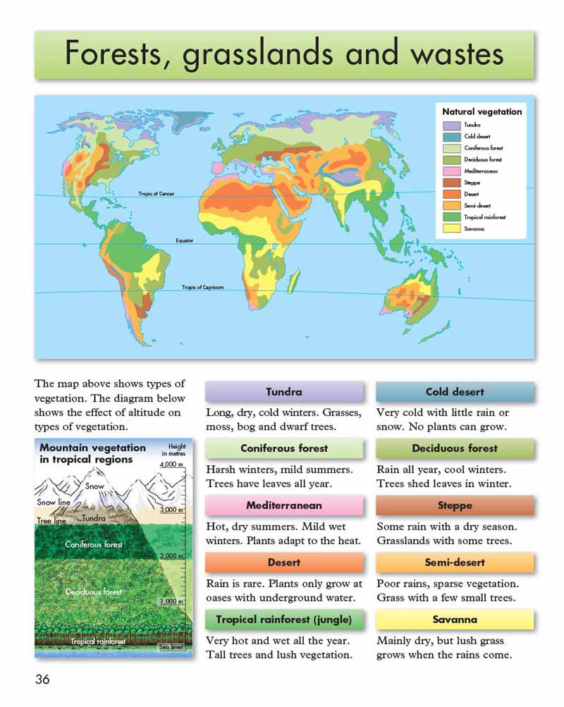 Philip's Junior School Atlas 11th Edition (check before ordering) - Image 10