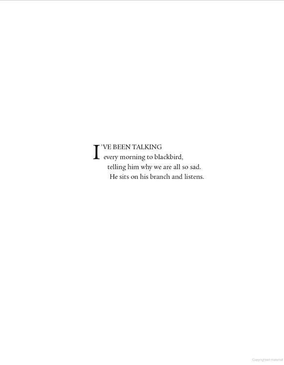 A Song of Gladness - Image 3