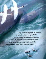 Amazing Animal Journeys - Image 2