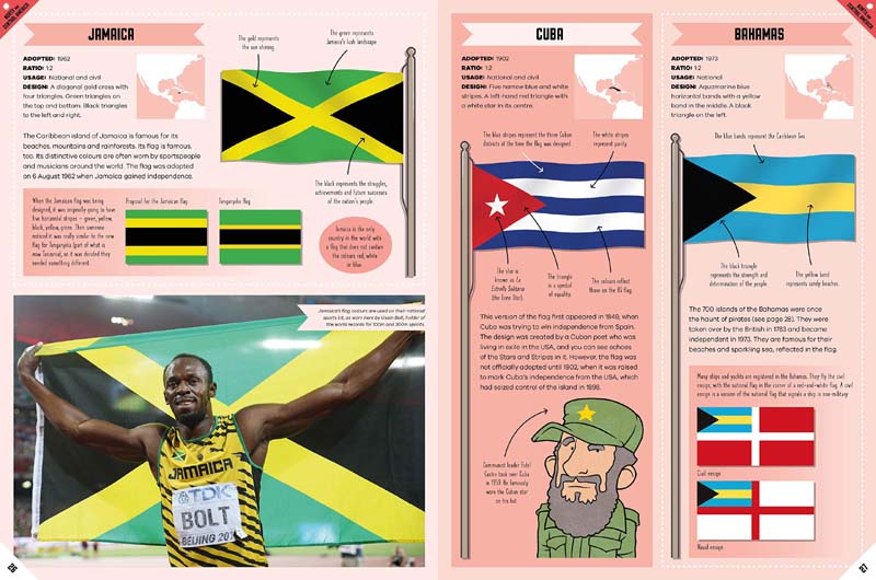 The Flag Book - Image 4
