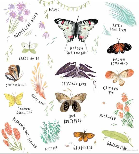 My Butterfly Bouquet - Image 2