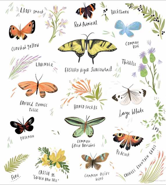 My Butterfly Bouquet - Image 3