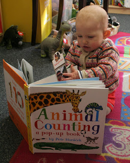 Animal Counting - Image 2