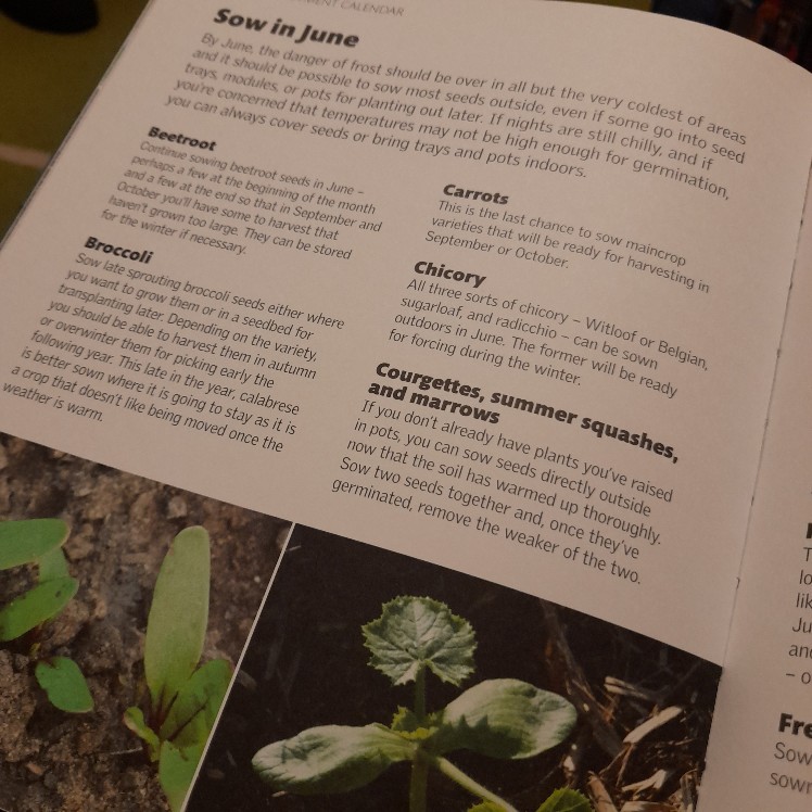 Allotment Month by Month - Image 6