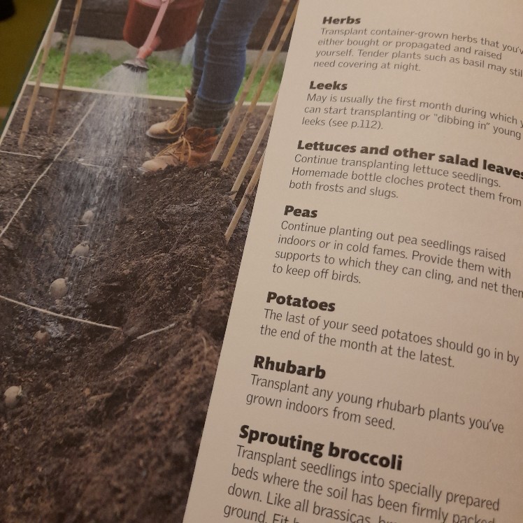 Allotment Month by Month - Image 4
