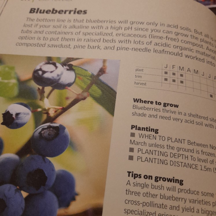 Allotment Month by Month - Image 3