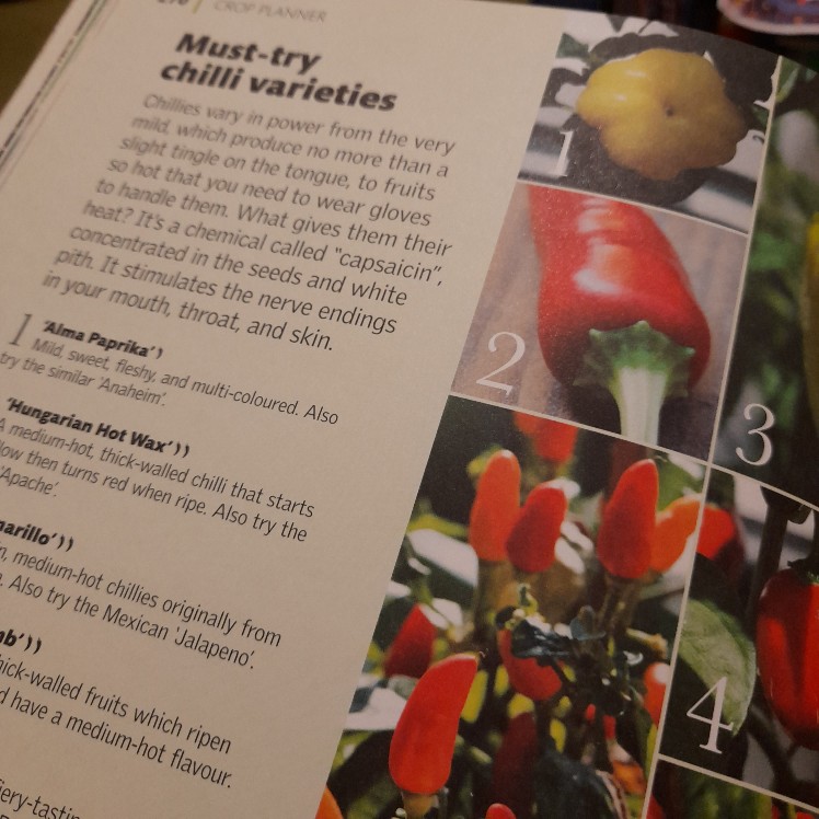 Allotment Month by Month - Image 2