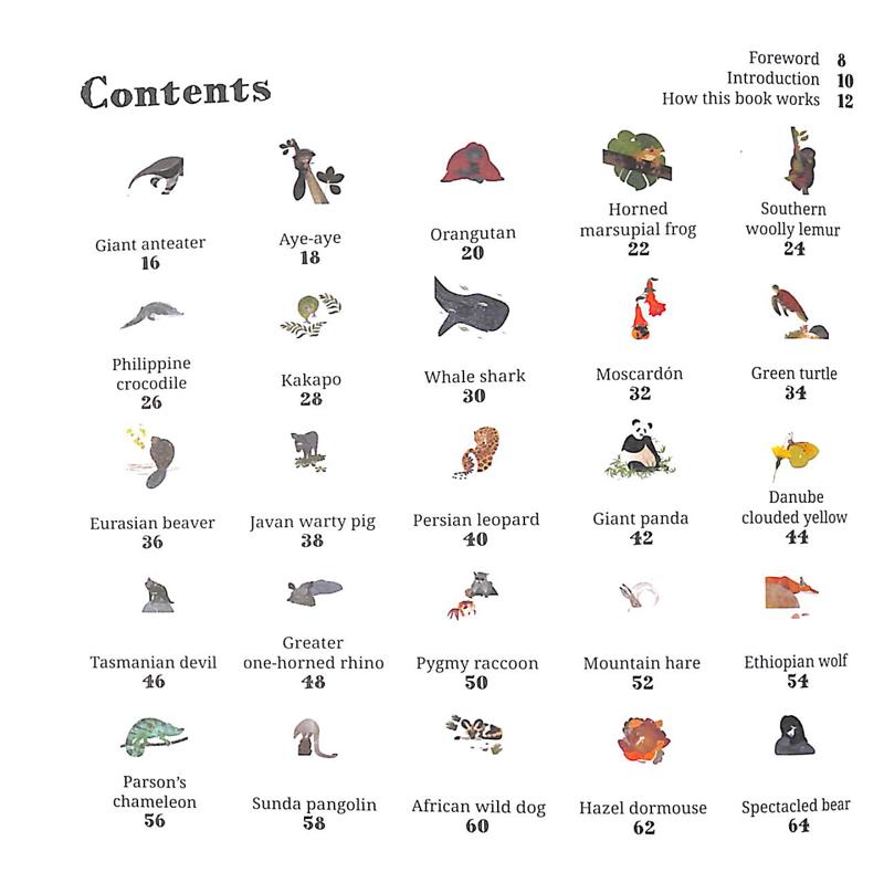 100 Endangered Species - Image 4