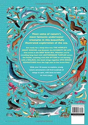 Atlas of Ocean Adventures - Image 8
