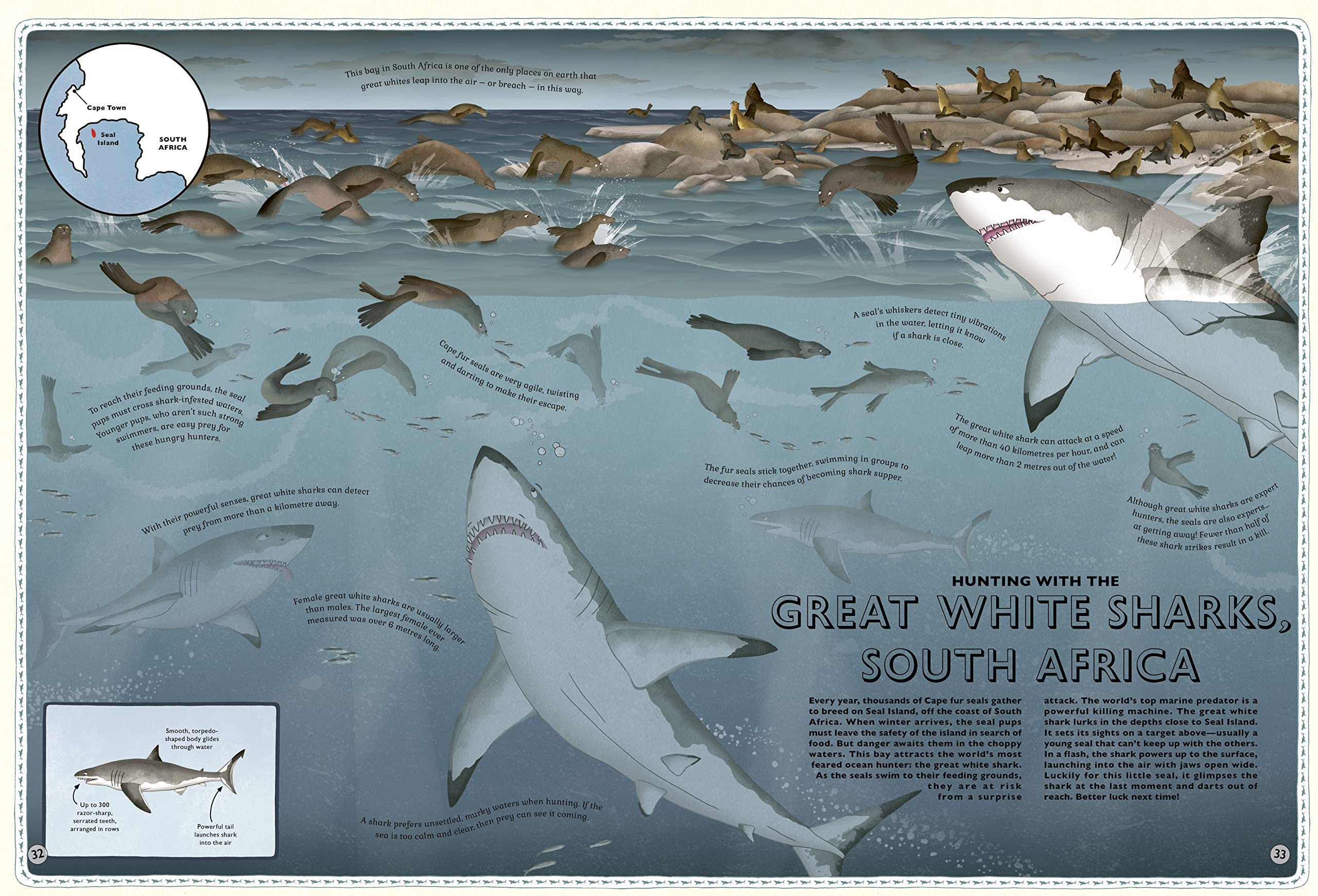 Atlas of Ocean Adventures - Image 7