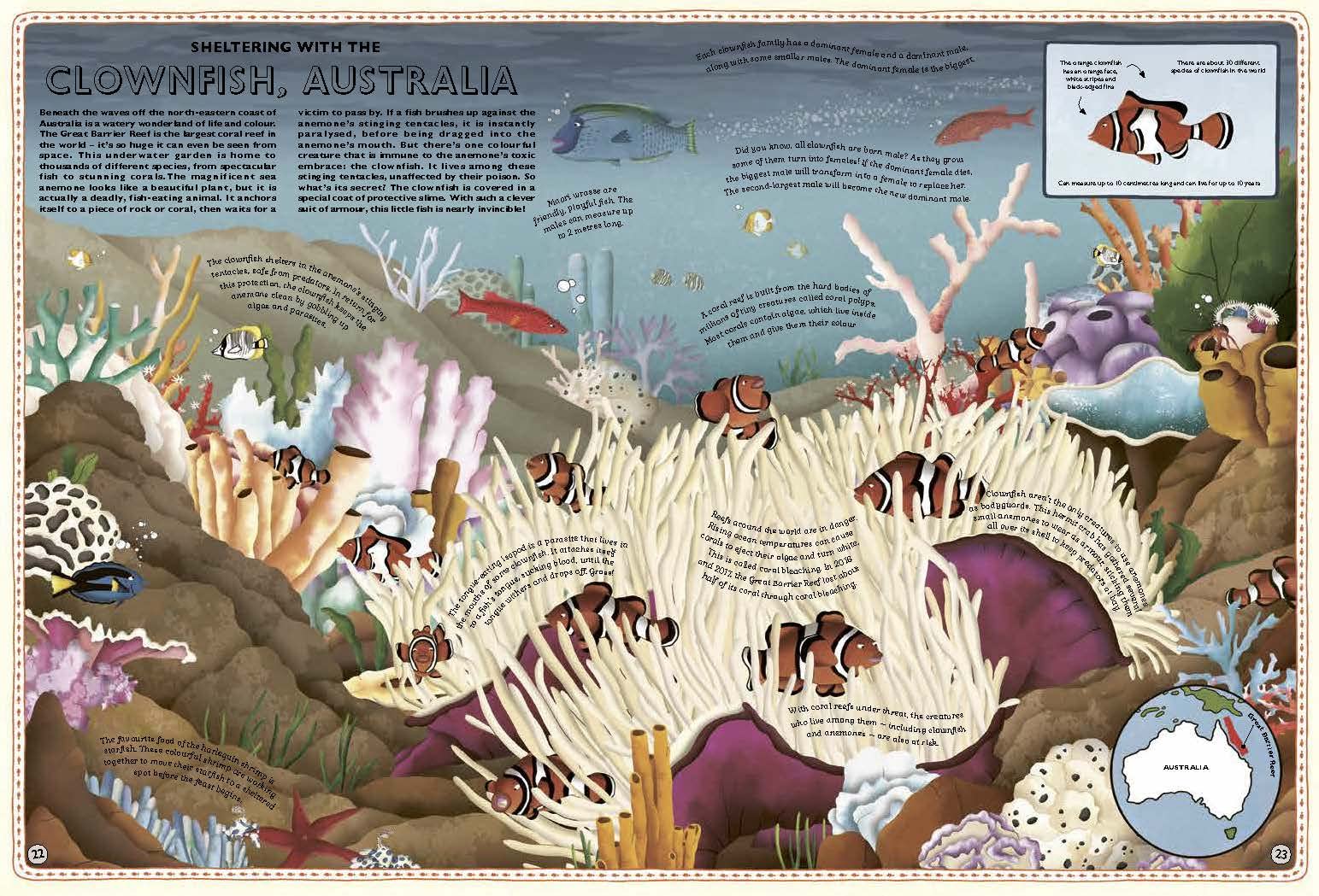 Atlas of Ocean Adventures - Image 3
