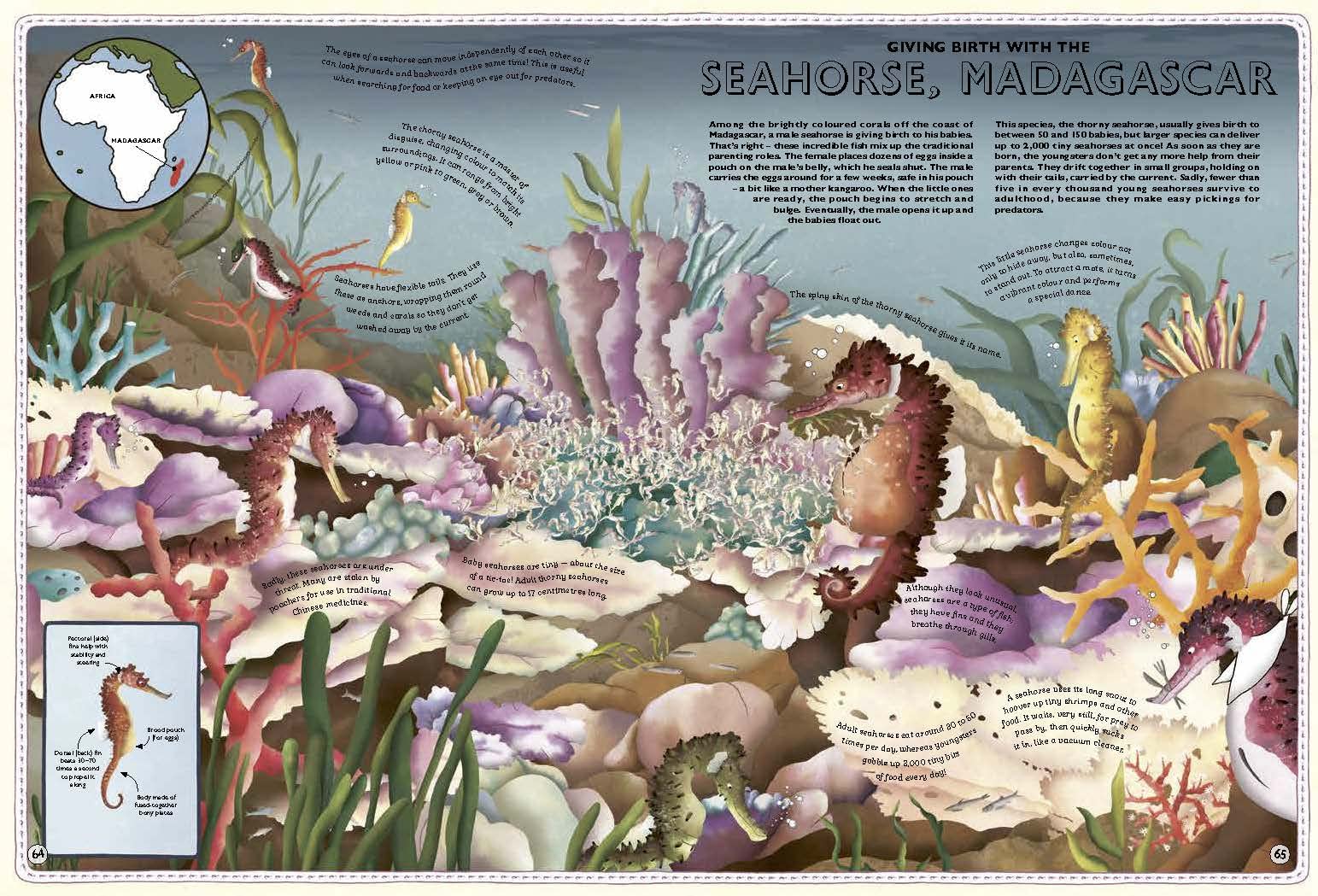 Atlas of Ocean Adventures - Image 2