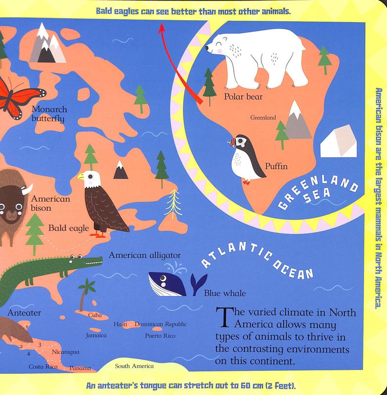 Scribblers Animal Atlas - Image 5