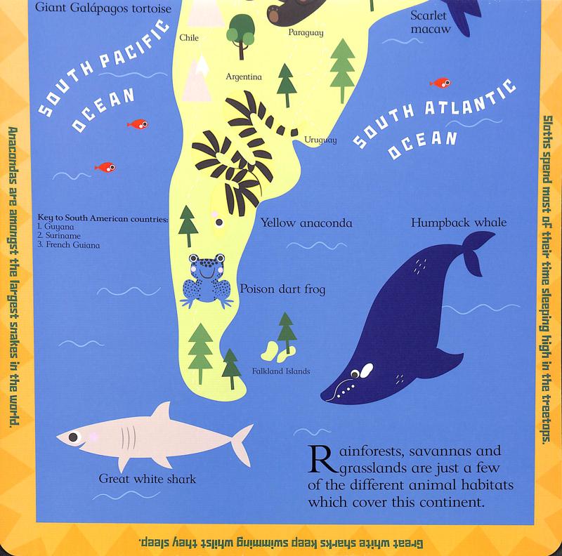 Scribblers Animal Atlas - Image 4