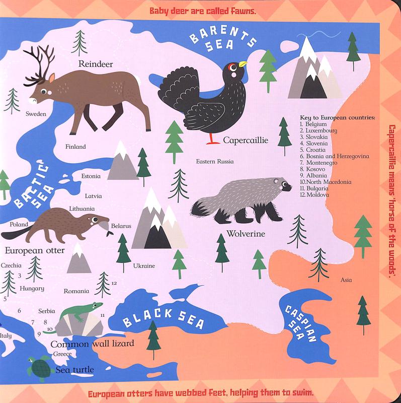 Scribblers Animal Atlas - Image 3