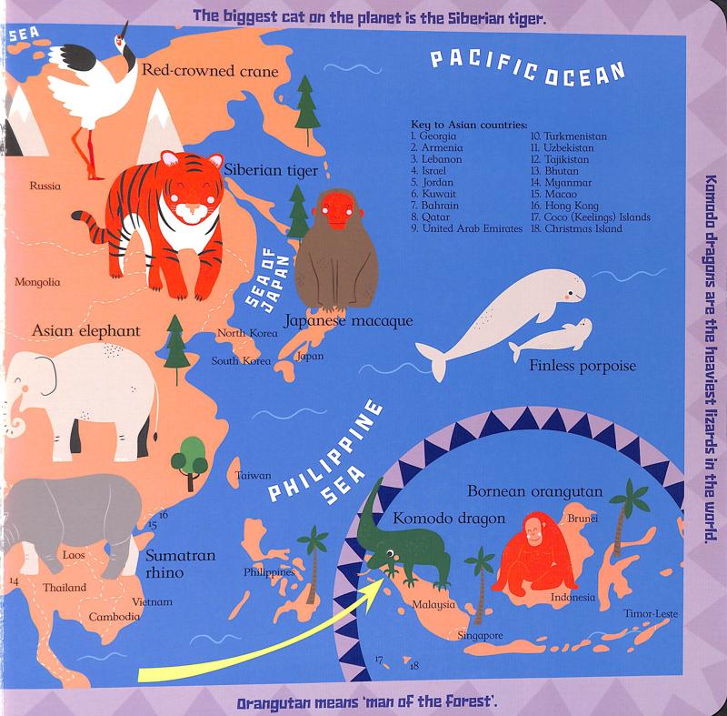 Scribblers Animal Atlas - Image 7