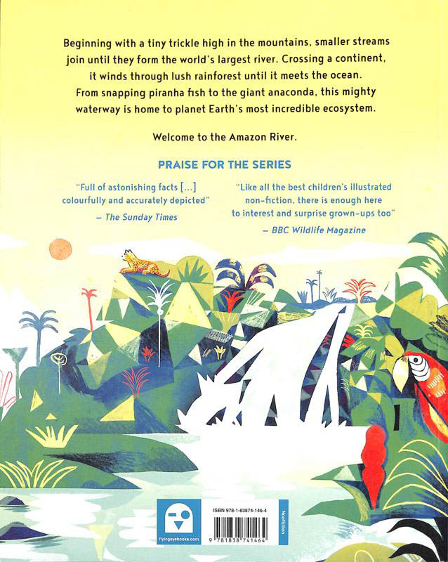 Amazon River - Image 2