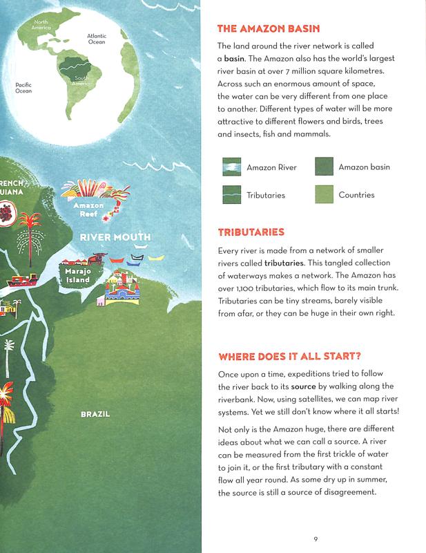 Amazon River - Image 4