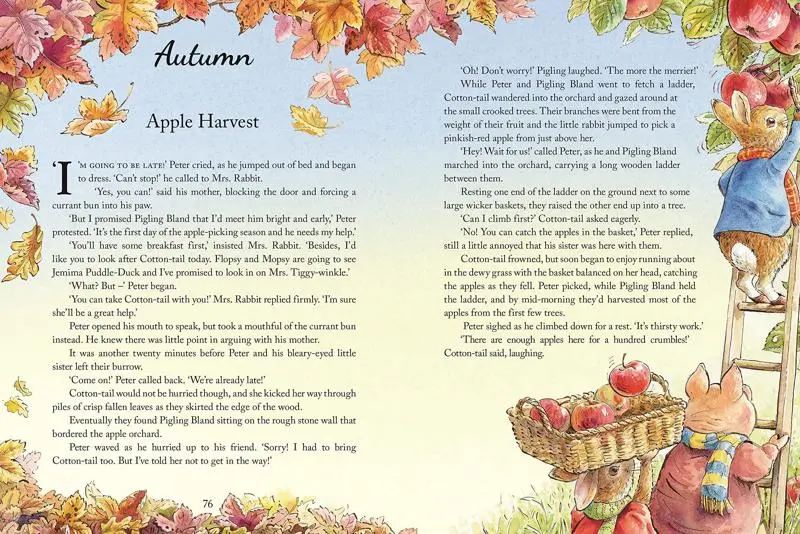 Peter Rabbit: Tales from the Countryside - Image 6