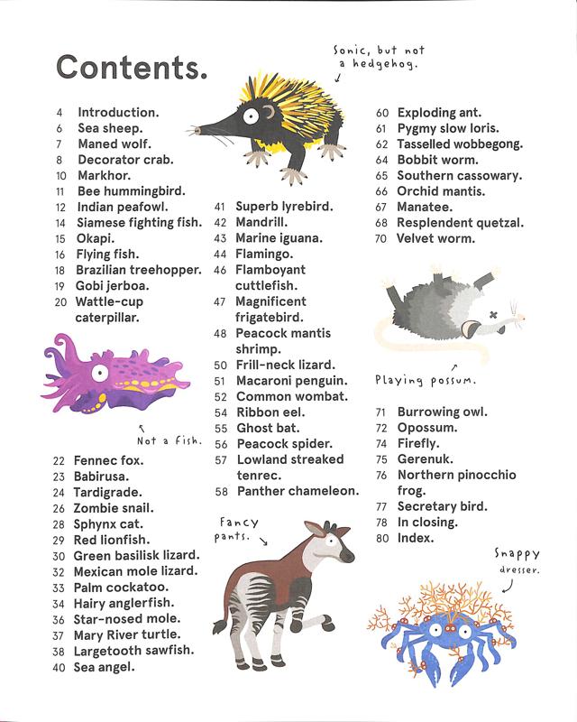 The World's Most Ridiculous Animals - Image 4