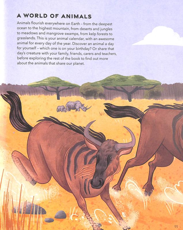 An Animal A Day - Image 8