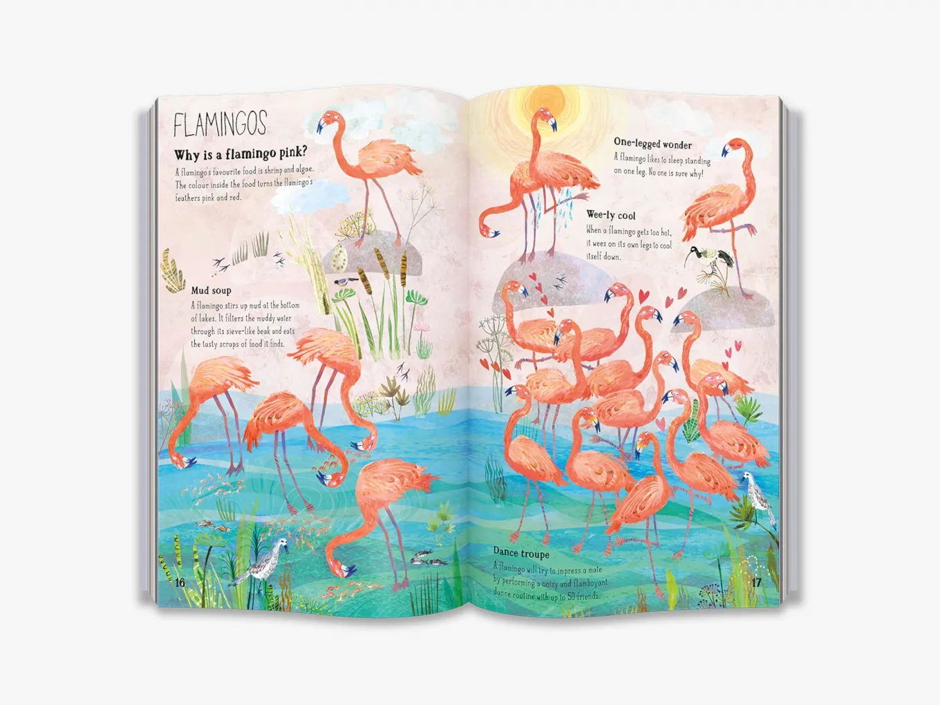 The Big Book of Birds - Image 5