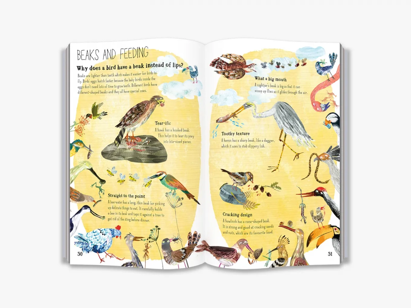 The Big Book of Birds - Image 6
