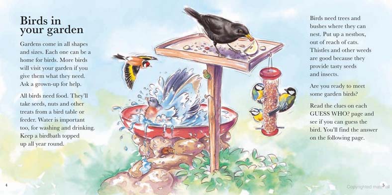 RSPB My First Book of Garden Birds - Image 2