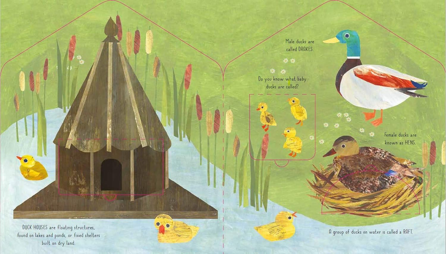 Bird House - Image 3