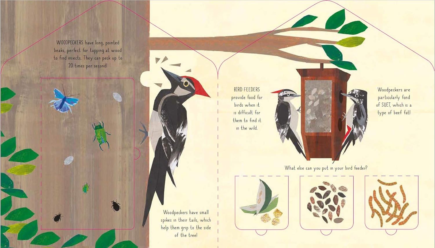 Bird House - Image 4