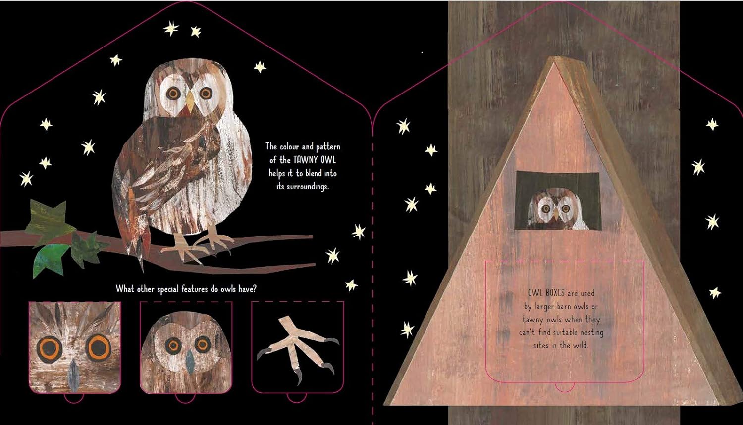 Bird House - Image 5
