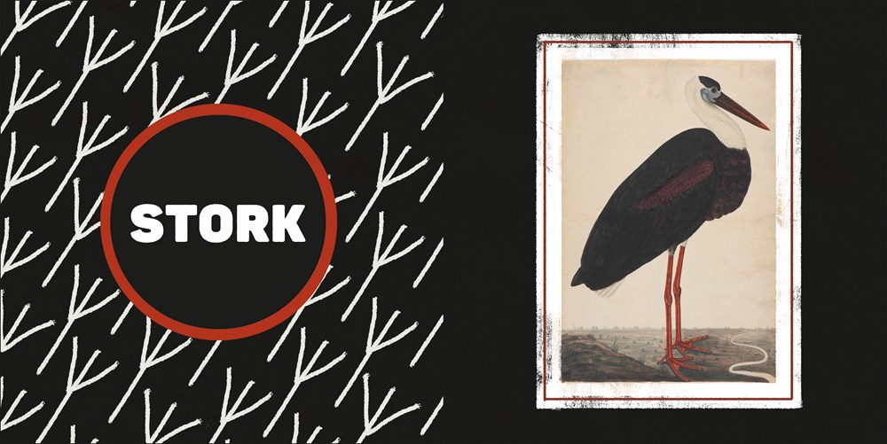 The Met Black and White : A High Contrast Book of Art - Image 2