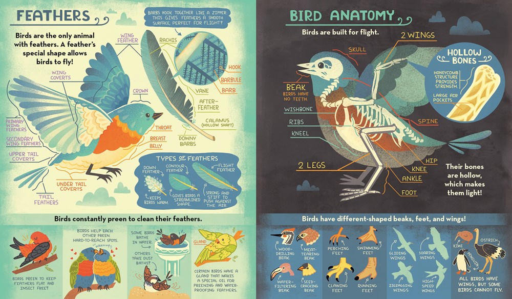 What's Inside A Bird's Nest? : And Other Questions About Nature & Life Cycles - Image 4