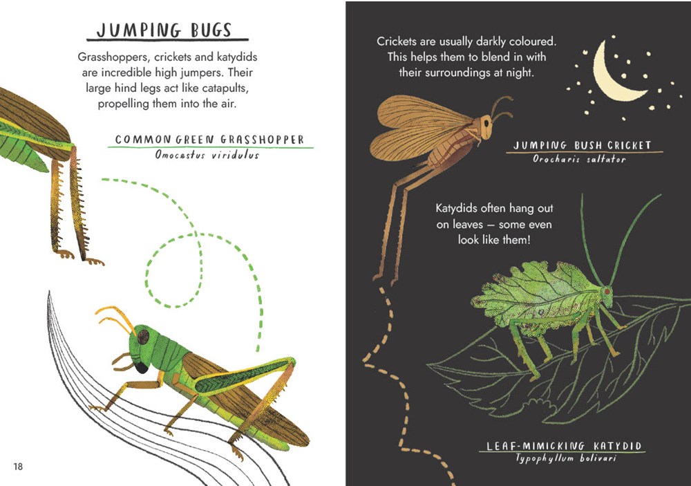 Little Guides to Nature: Hello Bugs - Image 9
