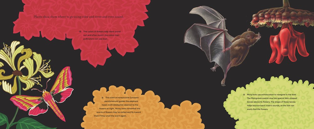 Before the Seed: How Pollen Moves - Image 4