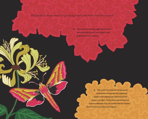Before the Seed: How Pollen Moves - Image 9