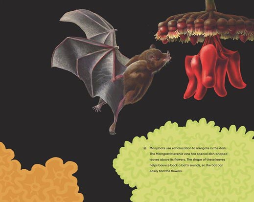 Before the Seed: How Pollen Moves - Image 10