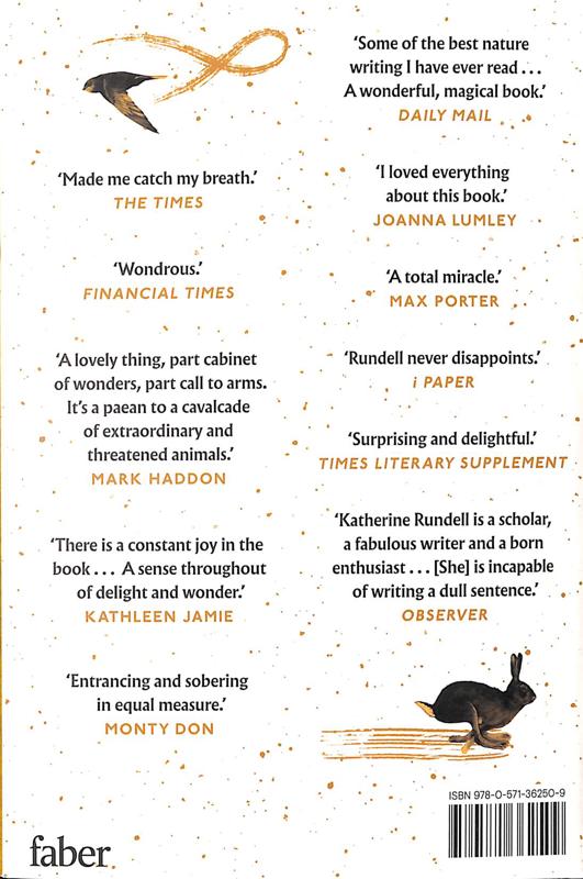 The Golden Mole - Image 2